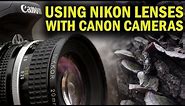 Using Nikon Lenses With Canon Cameras