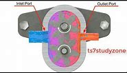 External Gear Pump Working Animation With Detail Explanation | TS7STUDYZONE