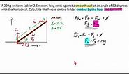 Physics: Basic Statics w/ Ladders