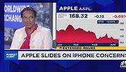 Not shocked that monthly iPhone sales are down, says Sarah Kunst