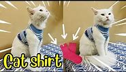 "Easy DIY Cat Shirt Using Socks! | Create Adorable Feline Fashion at Home!"