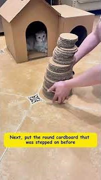 DIY 3D Cat Climbing Frame & Cat House | Fun & Safe Cat Playground #catlife