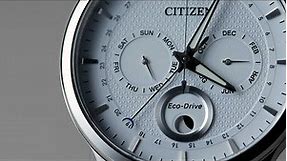 1-Minute Review: Citizen Eco-Drive Moon Phase Calendar Watch Ref. AP1050-56A