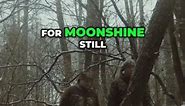 Uncovering History:Search for Abandoned Moonshine Still