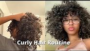Curly Hair Routine 3b/3c (wash, bangs, volume)