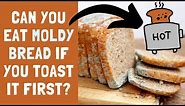 Can You Eat Moldy Bread If You Toast It?
