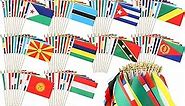 200 World Flags Countries Flags on Stick Small Country Flags on Sticks International Flags of the World Small Mini Hand Held Flags for Sports Events, International Festival, 5.5 x 8.2 Inch