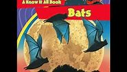 A Know It All Bats. A Brite Star Video