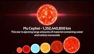 Size Comparison of the Universe 2021