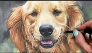 How to Paint a Golden Retriever Pet Portrait in Watercolor Tutorial