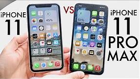 iPhone 11 Vs iPhone 11 Pro Max In 2024! (Comparison) (Review)