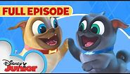 Puppy Dog Pals S1 E1 Full Episode 🐶 | Hawaii Pug-Oh 🏝️ / A.R.F. | @disneyjunior
