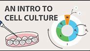 1) Cell Culture Tutorial - An Introduction