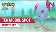 How to Get "TENTACOOL" in Pokemon Brilliant Diamond and Shining Pearl