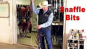 Types Of Snaffle Bits For Training Horses