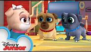 Arf-Choo! 🐾| Puppy Dog Pals | Disney Junior