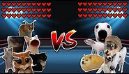 All Cats vs All Dogs! Meme battle