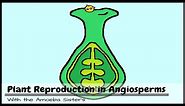 Plant Reproduction in Angiosperms