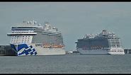 Love Boat horn duet between "Regal Princess" & "Sky Princess" in Southampton Docks - 28/08/2021