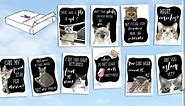 NobleWorks - 10 Assorted Funny Cats Greeting Cards Boxed set with Envelopes - Pet Animals Variety Pack - Cat Antics AC3638OCB-B1x10