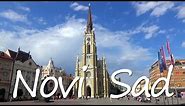 What to see in Novi Sad, Serbia
