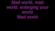 Mad World -Gary Jules (lyrics)