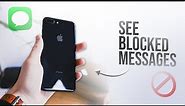 How to See Blocked Messages on iPhone (explained)