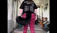 Black Wolf Fursuit Tail Sleeve Commission