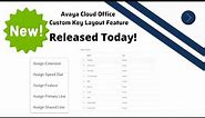 New Feature! Custom Key Layout now available with Avaya Cloud Office Release 5! Customized Buttons