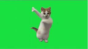 Cat dancing trending meme green screen