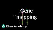 Gene mapping | Biomolecules | MCAT | Khan Academy