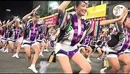 Why Not Dance? The Awa Odori Festival | nippon.com