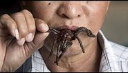 Inside The Cambodian Town That Eats Spiders