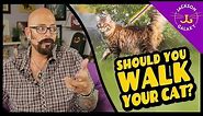 Should You Walk Your Cat?