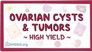 Ovarian cysts and tumors: Pathology review: Video | Osmosis