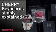 CHERRY keyboards explained | CHERRY Keyswitch technologies at a glance - CHERRY LAB 🍒💻 [English]