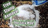 Possibly The Easiest Way To Remove A Tree Stump! Using Epsom Salt!! Part 1