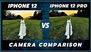 iPhone 12 vs 12 Pro Camera Comparison