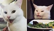 Smudge The Cat And His Owner Give Us The Full Scoop On How He Became An Internet Star And The ‘Woman Yelling At Cat’ Meme