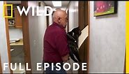 A Meow-tain of Cat Cases (Full Episode) | The Incredible Dr. Pol