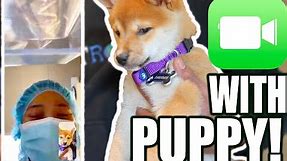 Surprising People with a PUPPY FaceTime!