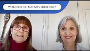 What Do Lice and Nits Look Like? | LiceDoctors