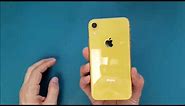 How to replace the screen on iPhone XR step by step for beginners