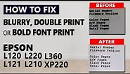How to FIX Epson L120 L121 L220, L210, L360, XP220 Blurry or double print after waste inkpad reset