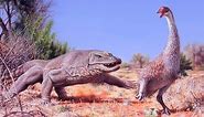 Megalania: The Giant Australian Lizard