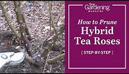 How to Prune Hybrid Tea Roses