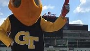 Let’s do this, Atlanta... - Georgia Tech Yellow Jackets