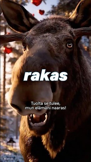 OPI SUOMEA: RAKAS