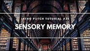 Sensory Memory (Intro Psych Tutorial #71)