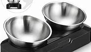 Cat Bowls - Elevated Cat Food Bowls, Anti Vomiting Cat Bowl Set, Stainless Steel Cat Bowls,Cat Bowls for Food and Water, Raised Cat Bowls for Indoor Cats, Orthopedic Cat Bowl